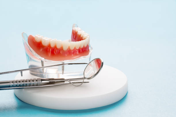 Trusted Seaside Heights, NJ  Holistic Dental Services Experts